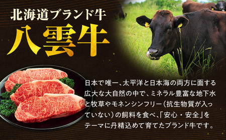 八雲牛 小腸 合計1.2kg (100ｇ×12パック) ※沖縄・離島への配送不可