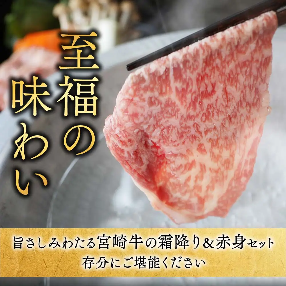 牛肉 宮崎牛 赤身&霜降り スライス 牛肉〔18E-N2-001-1kg-S4A6-CF〕