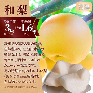 【ふるさと納税】＜フルーツ 定期便（全３回）＞ いちご ぶどう 藤稔 梨 fruit 苺 おすすめ 旬 果物 くだもの 高知県 佐川町産【冷蔵】【常温】