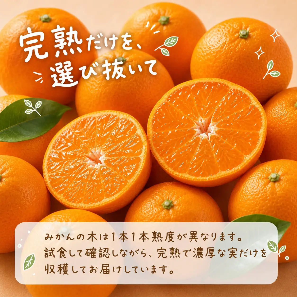 有田の小粒みかん5kg　(S～3Sサイズ混合) ※2026年11月下旬～2027年1月下旬頃に順次発送予定 / みかん ミカン 蜜柑 温州みかん 柑橘 フルーツ 果物 くだもの 和歌山【uot845】 