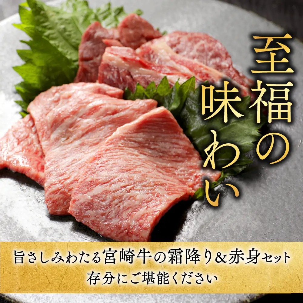 牛肉  宮崎牛 赤身＆霜降り 1kg 牛肉〔18E-N2-002-1kg-S4A6-CF〕