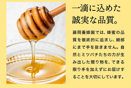 【2025年採蜜】 完熟はちみつ　500g（藤岡養蜂園） 　014FY01N. ／ 完熟 熟成 天然 ハチミツ 養蜂 蜂蜜 ミツバチ チューブ 