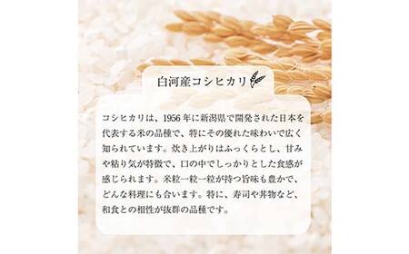 【無洗米】キャンプ用 白河市産 コシヒカリ 1合 150g 米 コメ ごはん ご飯 アウトドア 非常食 ソロキャンプ 食品 防災グッズ  F24R-077