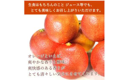 希少な柑橘!紀州有田産ブラッドオレンジ約5kg 【ご家庭用】※2027年3月中旬頃?3月下旬頃に順次発送 (お届け日指定不可) 【uot853】