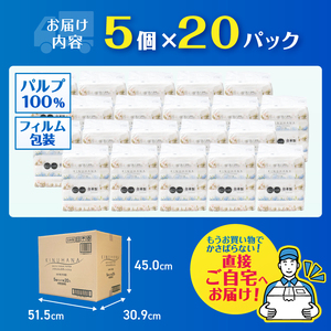 ソフトパック ティッシュ 100個(5個×20パック) きぬはな ティッシュペーパー [sf002-385]