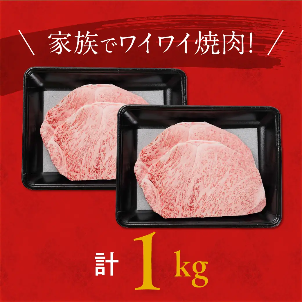 宮崎牛ロースステーキ4枚 計1000g〔33-N2-011-1kg〕_(都城市) ロースステーキ 1000g 1kg 宮崎牛 牛肉 宮崎県産 国産 ロース肉 ステーキ肉 高級 とろける ミヤチク