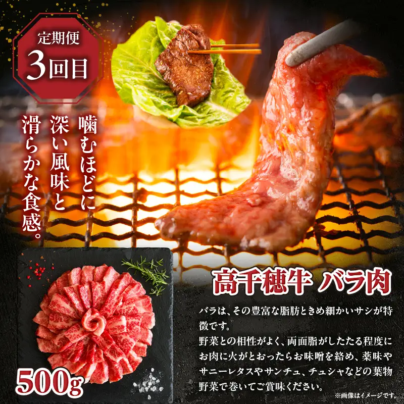 【3か月定期便】高千穂牛煮込み料理3か月定期便 高千穂牛 牛肉 肉 お肉 定期便 定期 国産牛 ブランド牛 和牛 すね肉 肩ロース ロース スライス 牛 牛バラ 煮込み カレー ビーフシチュー 国産 贈答 贈り物 普段使い 宮崎県 高千穂 _Tk002-t086