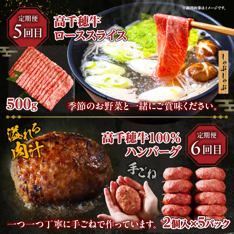 【6か月定期便】高千穂牛煮込み料理6か月定期便 高千穂牛 牛肉 肉 お肉 定期便 定期 国産牛 ブランド牛 和牛 すね肉 ロース 肩ロース 牛すじ バラ 牛バラ ハンバーグ スライス 煮込み カレー ビーフシチュー 国産 贈答 贈り物 普段使い 宮崎県 高千穂 _Tk002-t087