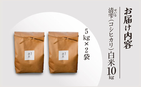 ＜令和7年産＞ 京都夜久野産 清雫(せいな) コシヒカリ 白米 (10kg) ふるさと納税 福知山市 令和7年度産 先行 定期便 選べる 容量 回数 白米 精米 夜久野 京都 【fc-DB006-C】【合同会社夜久野清雫】