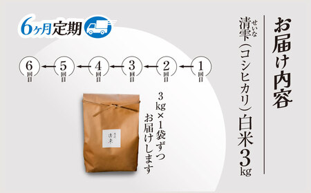 ＜6ヶ月定期便＞＜令和7年産＞ 京都夜久野産 清雫(せいな) コシヒカリ 白米 (3kg×6回) ふるさと納税 福知山市 令和7年度産 先行 定期便 選べる 容量 回数 白米 精米 夜久野 京都 【fc-DB006-A06】【合同会社夜久野清雫】