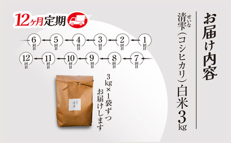 ＜12ヶ月定期便＞＜令和7年産＞ 京都夜久野産 清雫(せいな) コシヒカリ 白米 (3kg×12回) ふるさと納税 福知山市 令和7年度産 先行 定期便 選べる 容量 回数 白米 精米 夜久野 京都 【fc-DB006-A12】【合同会社夜久野清雫】