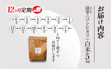 ＜12ヶ月定期便＞＜令和7年産＞ 京都夜久野産 清雫(せいな) コシヒカリ 白米 (5kg×12回) ふるさと納税 福知山市 令和7年度産 先行 定期便 選べる 容量 回数 白米 精米 夜久野 京都 【fc-DB006-B12】【合同会社夜久野清雫】