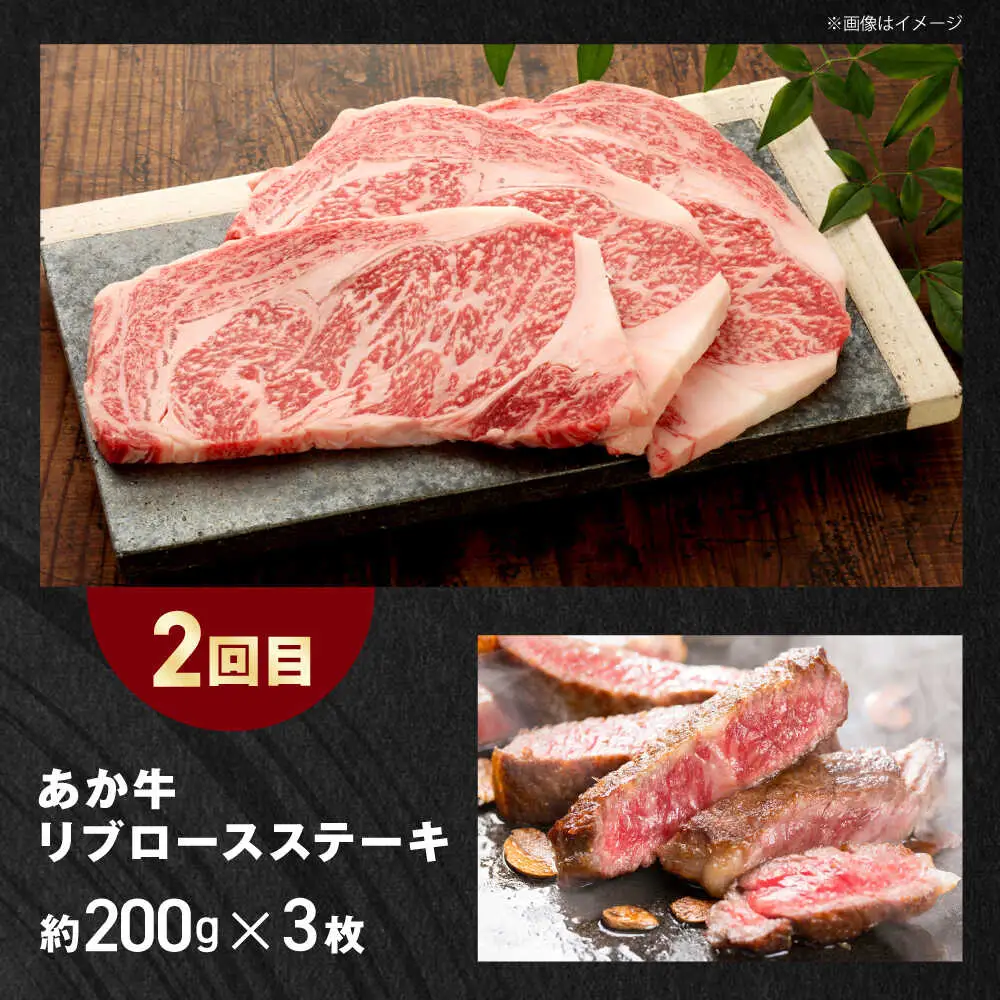 【全3回定期便】【GI認証】くまもとあか牛 食べ比べ A ランプ リブロース 赤身モモブロック[AYCQ026]
