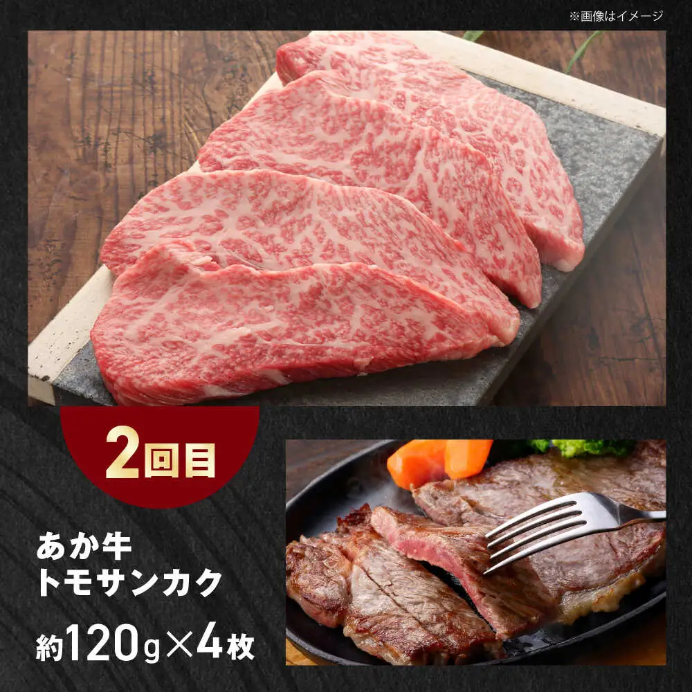 【全3回定期便】【GI認証】くまもとあか牛 食べ比べ F リブロース トモサンカク 赤身モモブロック[AYCQ031]
