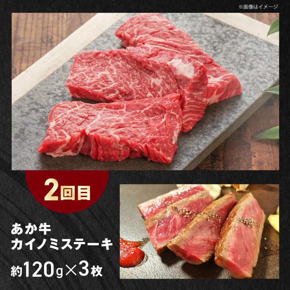 【全3回定期便】【GI認証】くまもとあか牛 食べ比べ E トモサンカク カイノミ リブロース ロース[AYCQ030]