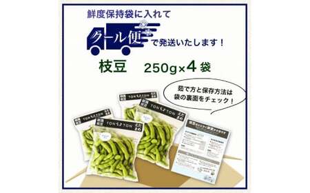 早生枝豆 1kg【 数量限定 早生 枝豆 おつな姫 陽惠 新潟県 先行予約 1kg seida018 】