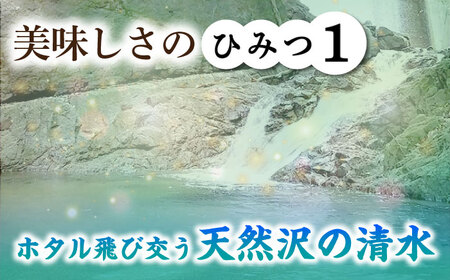 おいしい！亀山・白川産コシヒカリ 5kg 亀山市/せせらぎの里営農組合 お米 コシヒカリ 送料無料[AMAX003]