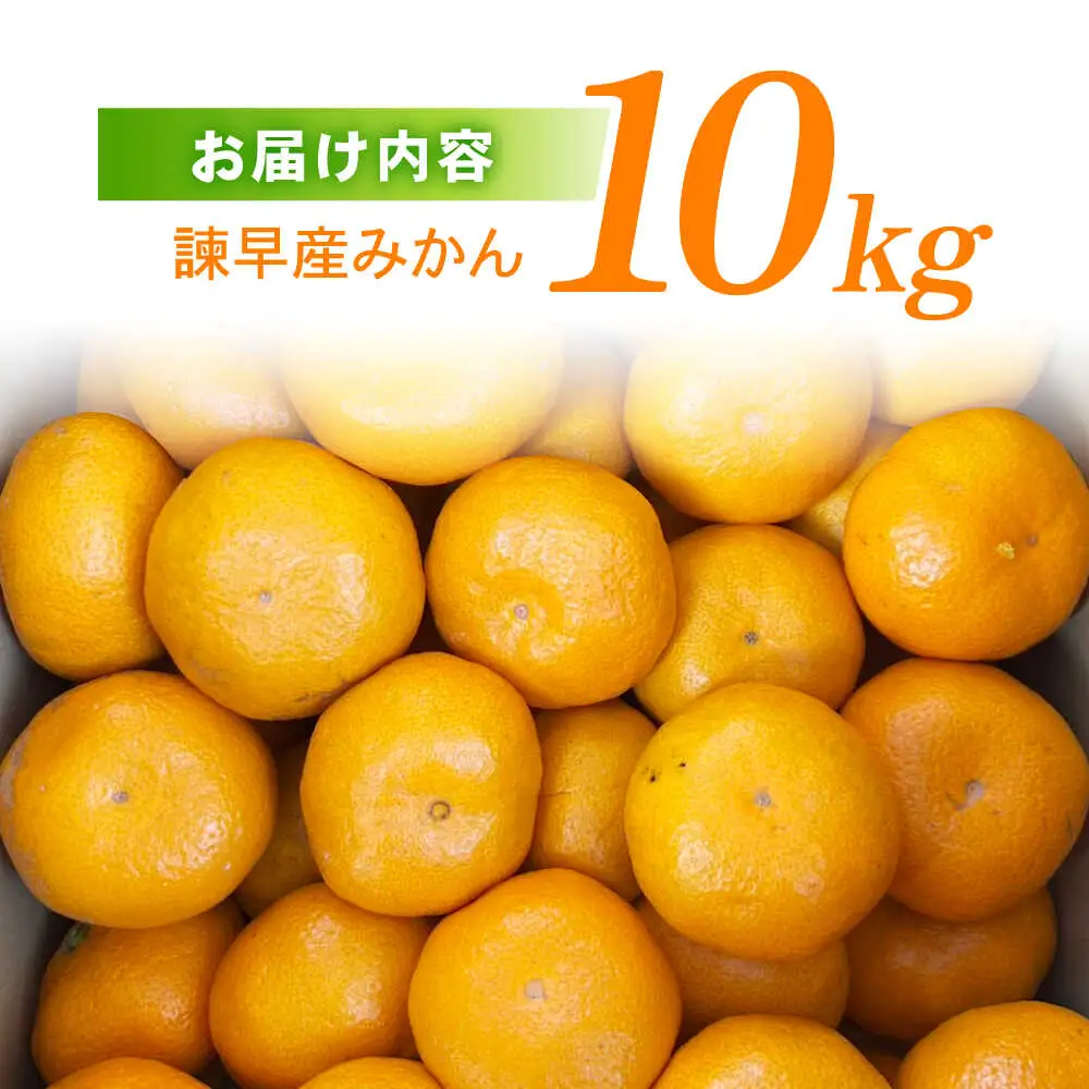 諫早産みかん 10kg / みかん ミカン 蜜柑 フルーツ ふるーつ 果物 くだもの 10kg / 諫早市 / 松尾農園 [AHAY028]