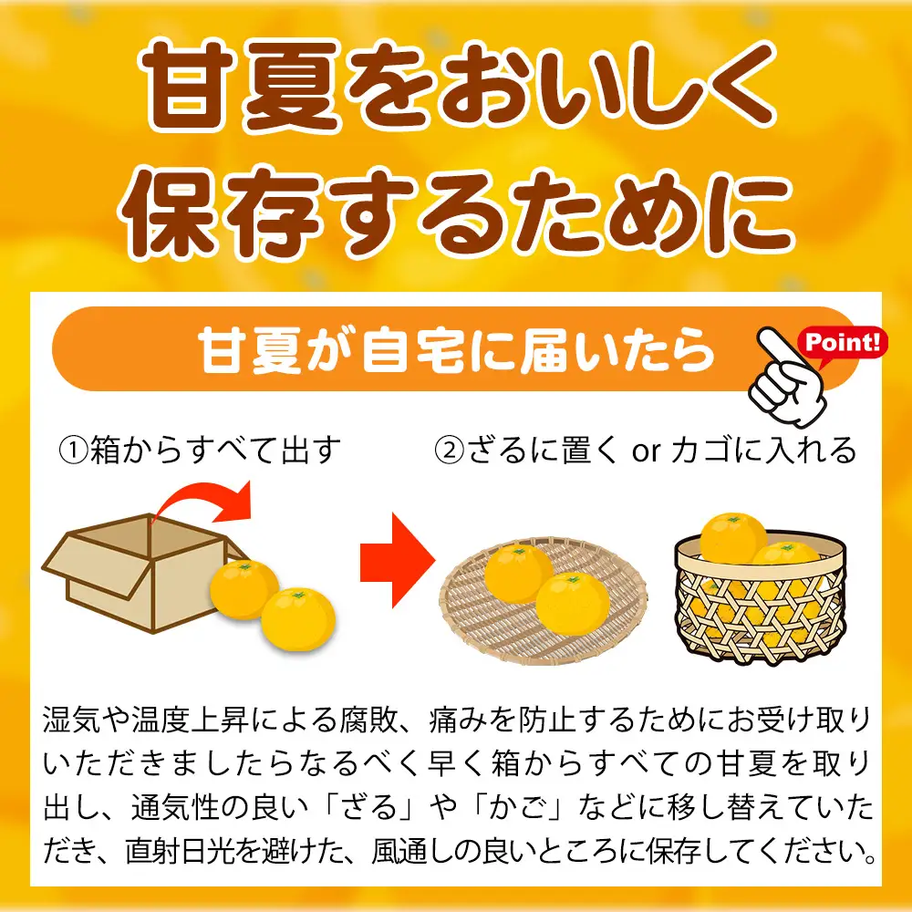 【ご家庭用訳あり】紀州有田産 すっきり爽やか 甘夏みかん 8kg  ※2027年3月中旬頃〜3月下旬頃に順次発送予定 / 甘夏 あまなつ みかん ミカン 蜜柑 温州みかん 柑橘 フルーツ 果物 くだもの 和歌山【uot847】