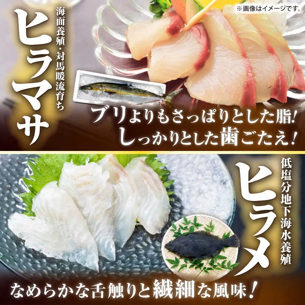 【全2回定期便】壱岐産 高級魚 刺身 4種セット 計195g（トラフグ・ヒラメ・ヒラマサ・真鯛）[JDT082]