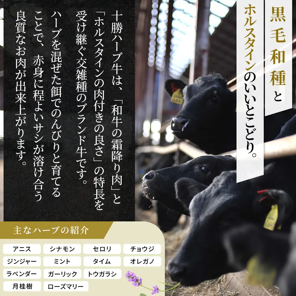十勝ハーブ牛 コンビーフ 白・黒セット 95g×8缶 国産 北海道 牛 肉 牛肉 国産 無添加 無塩せきコンビーフ 粗ほぐしタイプ 缶詰 保存食 非常食 時短 お取り寄せ 北のハイグレード食品2021受賞