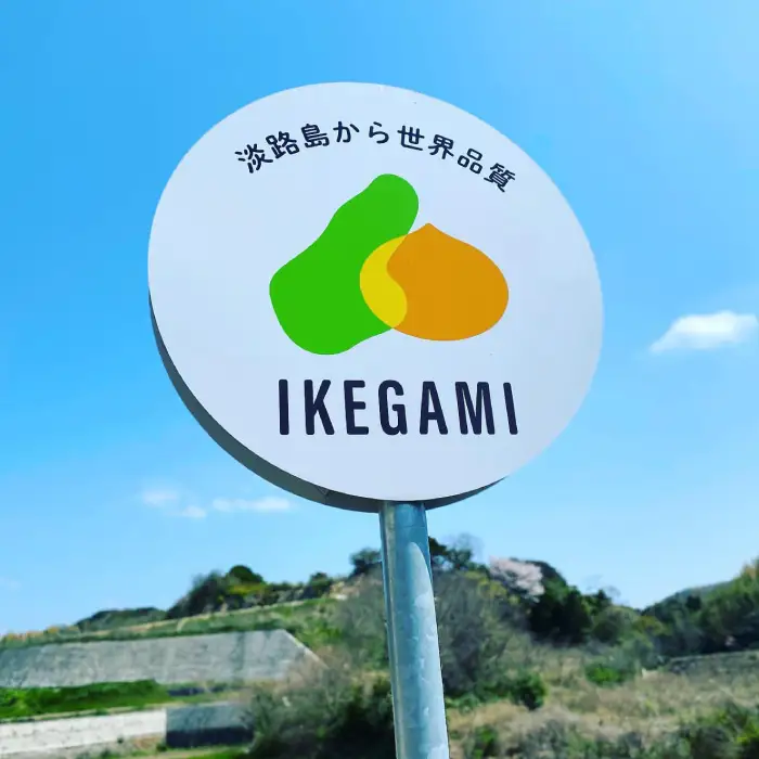 淡路島　池上農場の完熟玉ねぎ「あやたけ」10kg　玉ねぎ