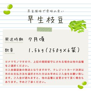 早生枝豆 1.5kg【 数量限定 早生 枝豆 おつな姫 陽惠 新潟県 先行予約 1.5kg 株式会社せいだ 新潟県 新発田市 seida019 】