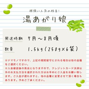 根強い人気の枝豆！ 湯あがり娘 1.5kg【 先行予約 予約 茶豆 枝豆 新潟産 湯あがり娘 1.5kg 数量限定 株式会社せいだ 新潟県 新発田市 seida021 】