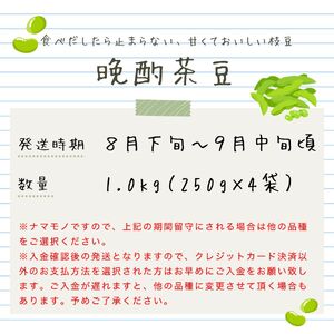 晩酌のお供におすすめ！ 晩酌茶豆 1kg 【 数量限定 1kg 晩酌茶豆 茶豆 枝豆 先行予約 新潟産 ビール 株式会社せいだ 新潟県 新発田市 seida022 】