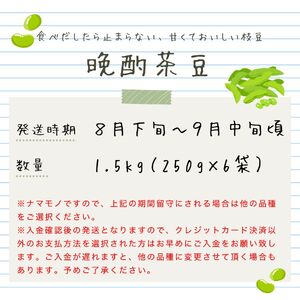 晩酌のお供におすすめ！ 晩酌茶豆 1.5kg 【 数量限定 1.5kg 晩酌茶豆 茶豆 枝豆 先行予約 新潟産 ビール 株式会社せいだ 新潟県 新発田市 seida023 】