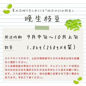 貴重な枝豆！ 晩生（おくて）枝豆 1kg 【 数量限定 1.0kg 枝豆 茶豆 新潟産 つまみ 晩生 株式会社せいだ 新潟県 新発田市 株式会社せいだ 新潟県 新発田市 seida024 】