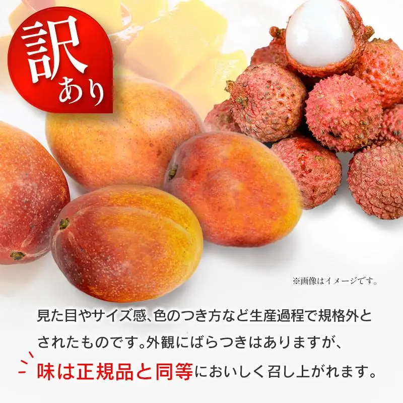 ＜2027年発送＞＜訳あり＞ 完熟 マンゴー 約1kg ＆ 生ライチ 300g 果物 フルーツ 宮崎県産 特産 セット