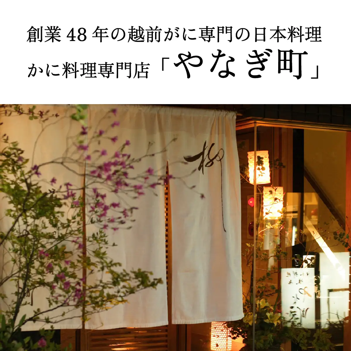 老舗日本料理店が作る「福井名物 焼さば寿司」 2本 [A-085003]