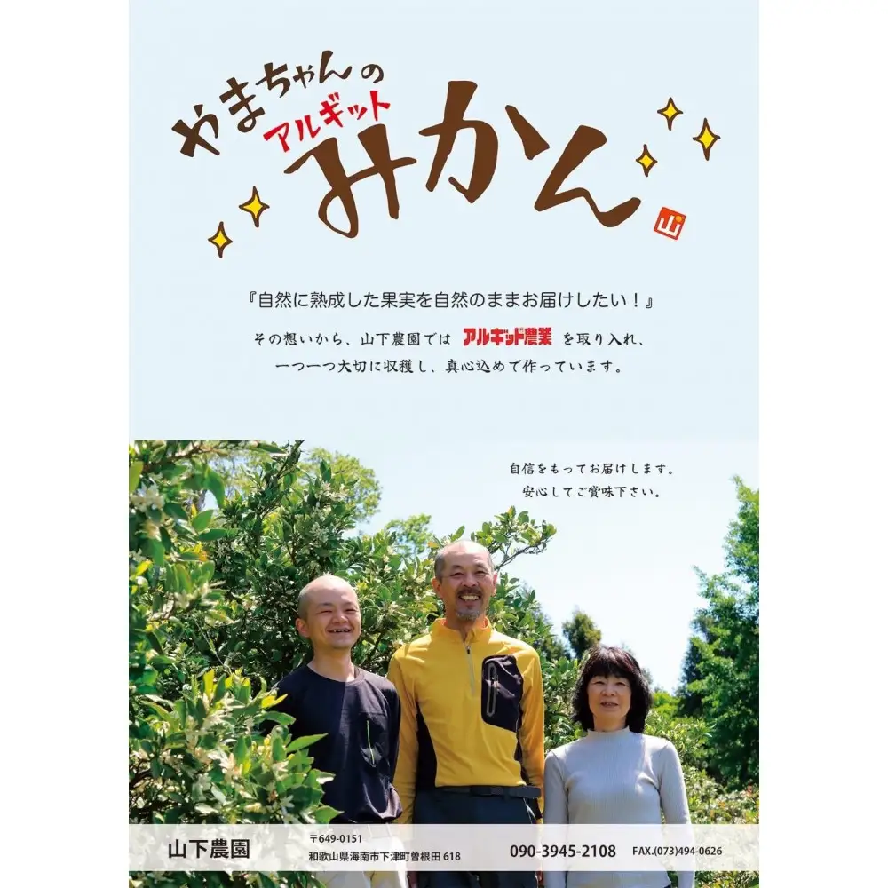 国産 バレンシアオレンジ 約2kg M～LLサイズ 山下農園