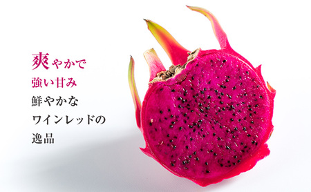 養本社のドラゴンフルーツくずアイス　10本入り お菓子 ｜アイス デザート スイーツ おやつ 贈答用 贈り物 ギフト プレゼント