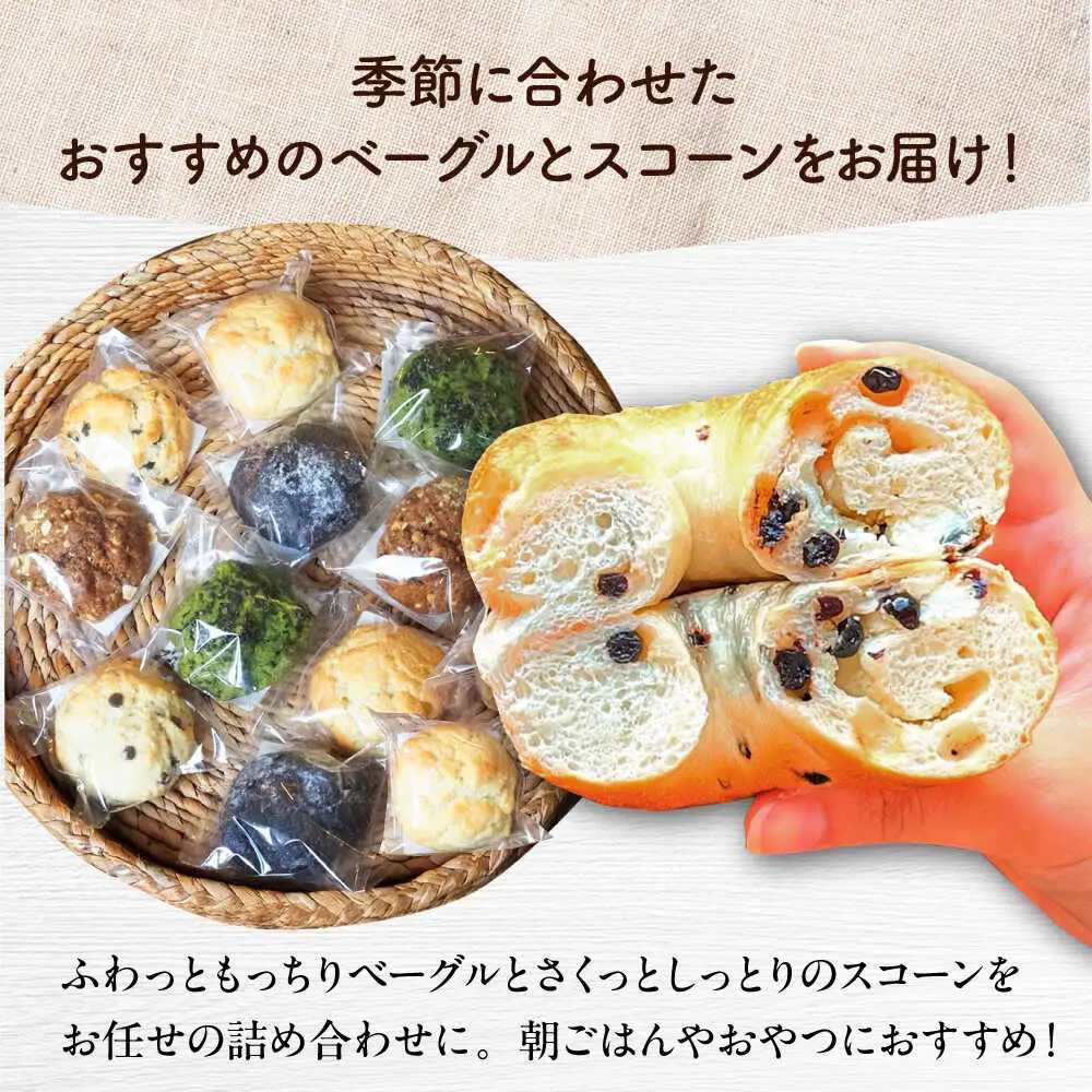 【全6回定期便】厳選おすすめ ベーグル ＆ スコーン 各12個 (24個セット)  BCAE015 パン