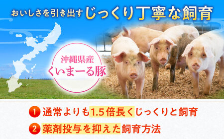 ひき肉 沖縄県産豚肉 豚ミンチ 粗挽き 約1.8kg (200g×9P)  BCAJ008 豚肉