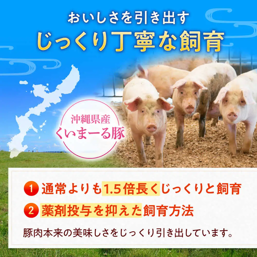 【高級部位】 ヒレ肉 3本入り 豚肉 BCAJ012