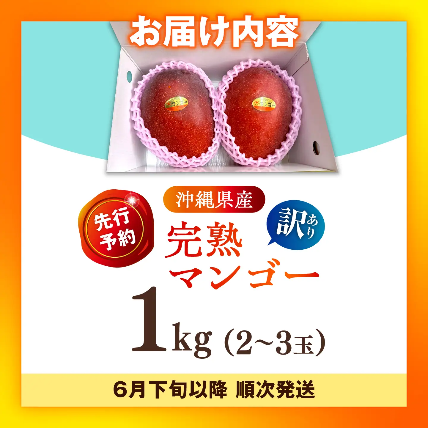 マンゴー 訳あり 約1kg マンゴー 沖縄 BCAN003