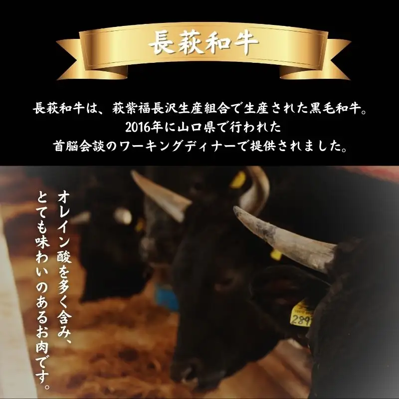長萩和牛切り落とし　500g　｜HG000186