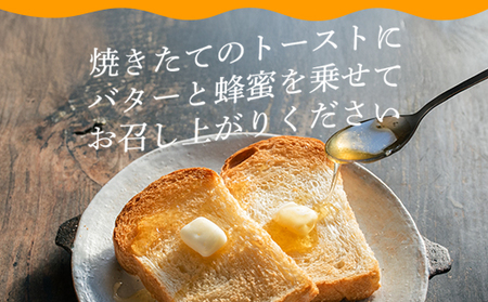 純粋天然 百花はちみつ 600g×2本