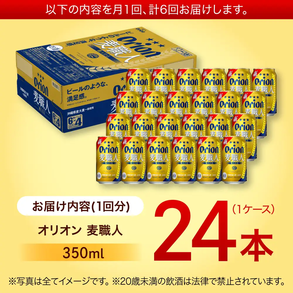 【全6回定期便】オリオンビール 麦職人 350ml×24本 BCDD024 ビール