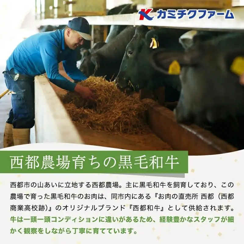 【最高品質のA5等級 西都和牛】黒毛和牛ロースステーキ 2枚（180ｇ×2）オレイン酸含有率55%以上　宮崎県産 カミチクファーム＜62-5a＞
