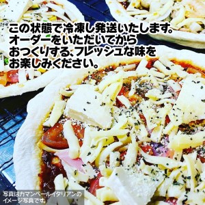 CT-002 職人さんの手作りピザ～テリチキ、カマンベールイタリアン２枚セット～