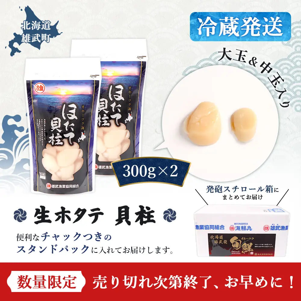 【北海道内限定配送！生ほたて】《期間限定》北海道雄武産 生玉ほたて 300ｇ×2 塩水パック(冷蔵)【0715202】