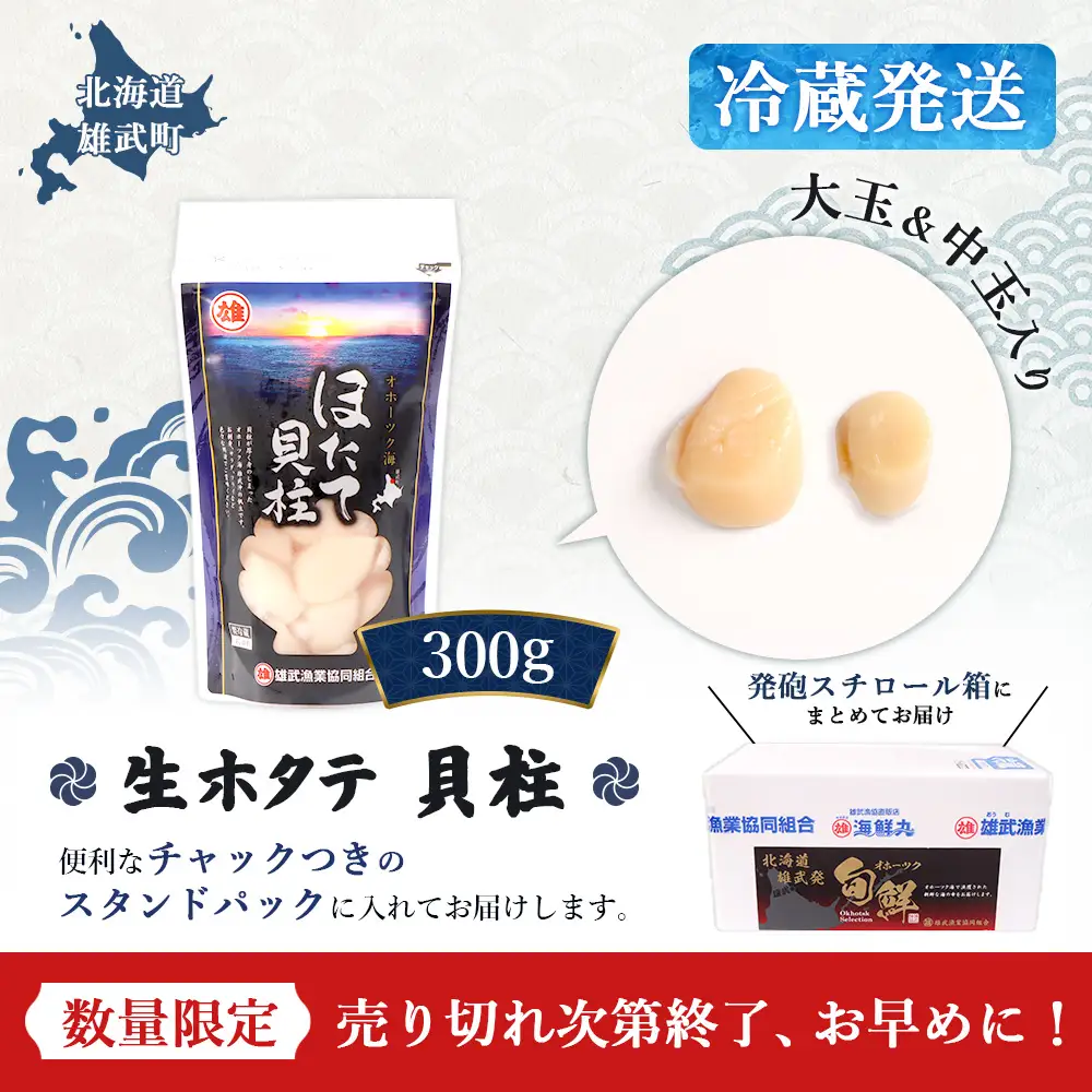 【北海道内限定配送！生ほたて】《期間限定》北海道雄武産 生玉ほたて 300ｇ 塩水パック(冷蔵)【0715002】