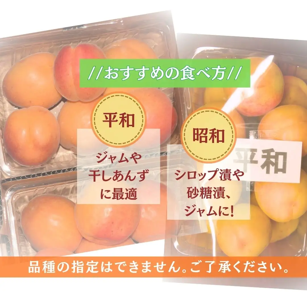 【2027年先行予約】訳あり あんず おまかせ加工用 計約2kg（約500g×4パック）| あんず