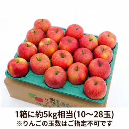 【26年11月～12月発送】平均糖度13度以上! 蜜入り 葉とらずサンふじ 約5kg おもてなし用_果物・フルーツ りんご  リンゴ 林檎_【配送不可地域：離島・沖縄県】【1612857】