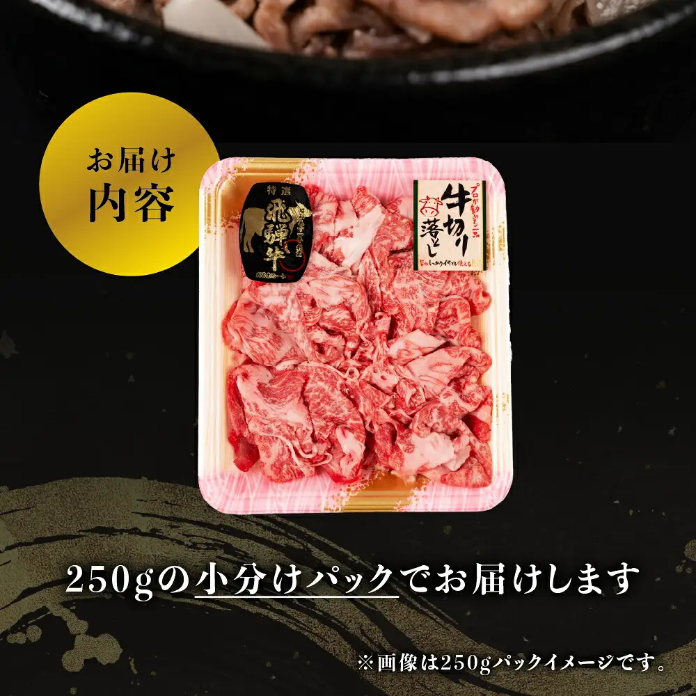 飛騨牛切り落し250g×2p 【BQ011】