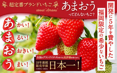 【予約受付】特別栽培 あまおう 1,200g 大粒 不揃い 選べる大容量あまおう （2L,グランデ,DX デラックス）減農薬 あまおう いちご 高級 いちごあまおう イチゴ 苺 フルーツ 果物 ふるさと納税くだもの amaou 福岡県 【2027年3月上旬～下旬発送予定】